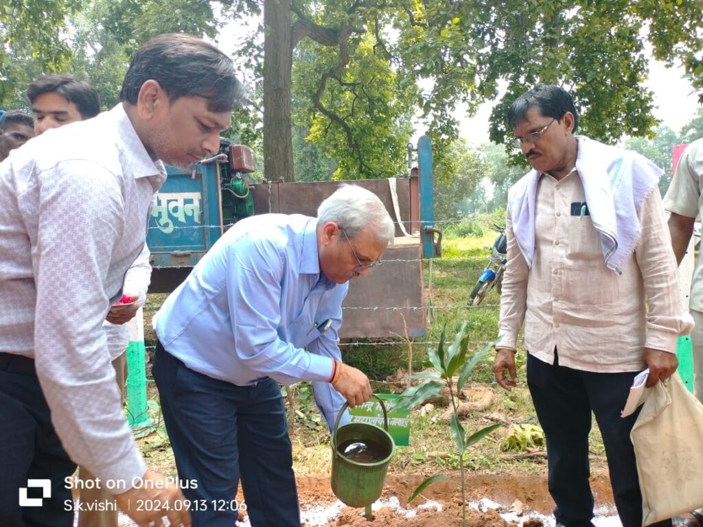 नाबार्ड के सहयोग से निर्मित रूरल हाट बाजार का हुआ लोकार्पण समारोह**कूड़ेकेला*क्षेत्र वासियों को मिला बजार हेतु सुनहरा अवसर* 2 1001521217