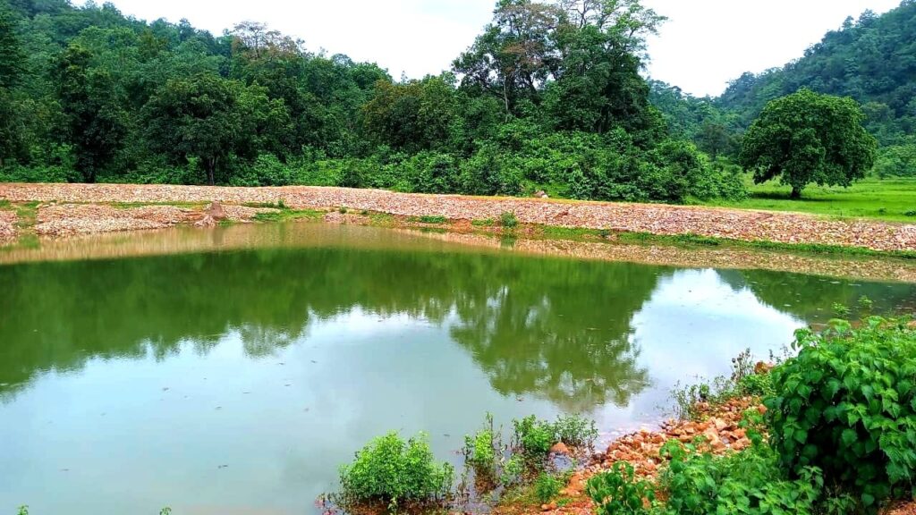 धर्मजयगढ़ ग्रामीण अंचल के लिए संजीवनी बना ग्राम कुमा का अमृत सरोवर। 1 1003171780